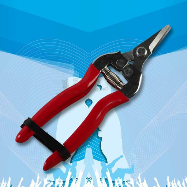 Precision Scissors, Garden Shears, Harvesting Shears for Fruit, Cut Flowers, Herbs, Hydroponic Vegetables and Grapes (FQ)