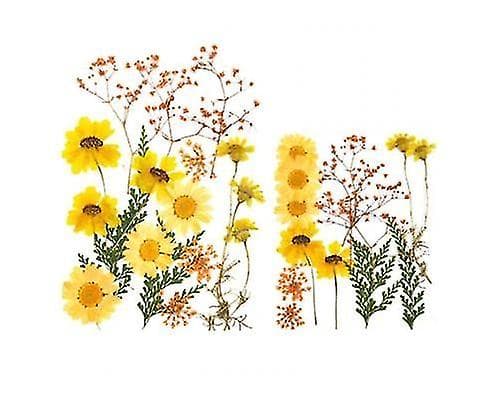 DIY Konserverede blomster dekoration (gul)