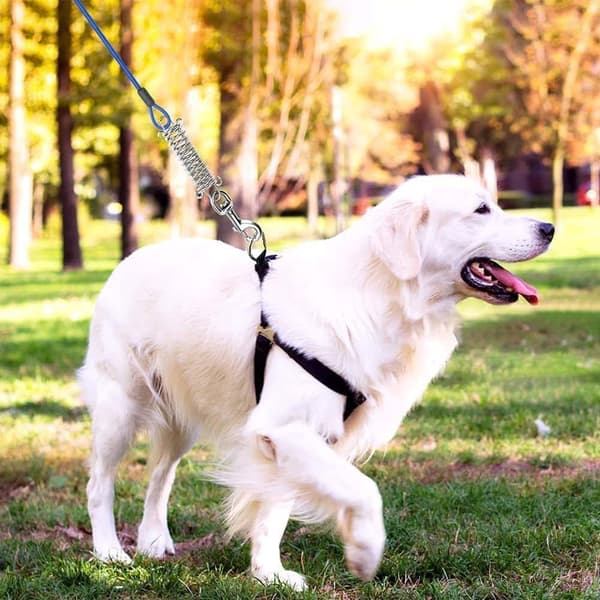 wxsp Dog Leash Cable, 6.5ft Heavy Duty Cable with Spring, Tangle-Free, Dog Stake Leash Cable Rust-Proof Dog Tie Out Cable Runner and Metal