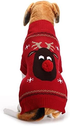 Varmt tøj til hund og kat julekostume halloweenkostume