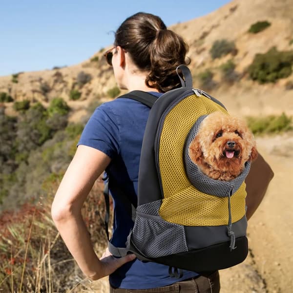 Dog Harness Backpack, Small Puppy Harness, Pet Travel Backpack, L