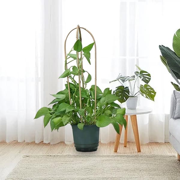 10 pcs/set U-shaped Plant Support Flexible Strong Handmade Trellis