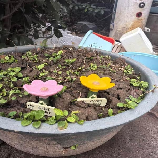 Bi-vattenstation Insektsdrickskoppar Blomformad Design Säker Drickspunkt, Blå, Rosa, Gul, Hållbar, För Trädgård