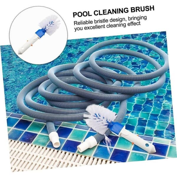 Poolhörnborste Poolstegshörnborste