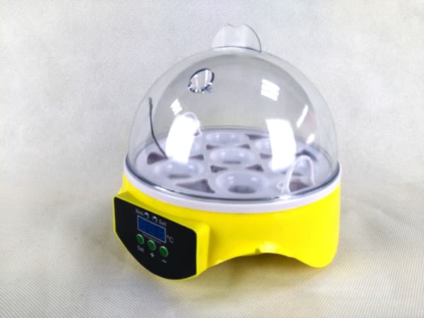 Automatisk digital egginkubator for 7 egg - Høne-XF12-
