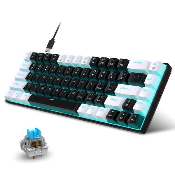 Wired Gaming Keyboard, RGB Backlit, Ultra-Compact Mini Keyboard with Detachable Cable, Black and White Color