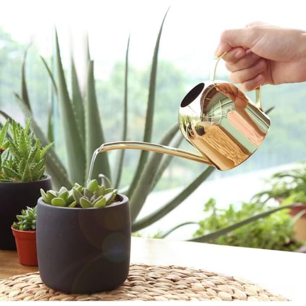 Vandkande i rustfrit stål til indendørs planter Hjem Lang tud Have Vandkande til indendørs planter 500 ml (Guld)