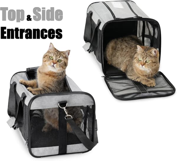 Pet Carrier, Soft Cat Carrier, Foldable, Durable, Airline Approved, Travel Friendly (42*28*28 cm, Grey) light gray light gray