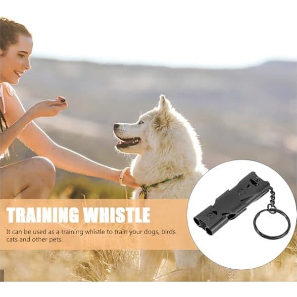 Three Items: An Emergency Whistle and a Safety Survival Key with Lanyard.