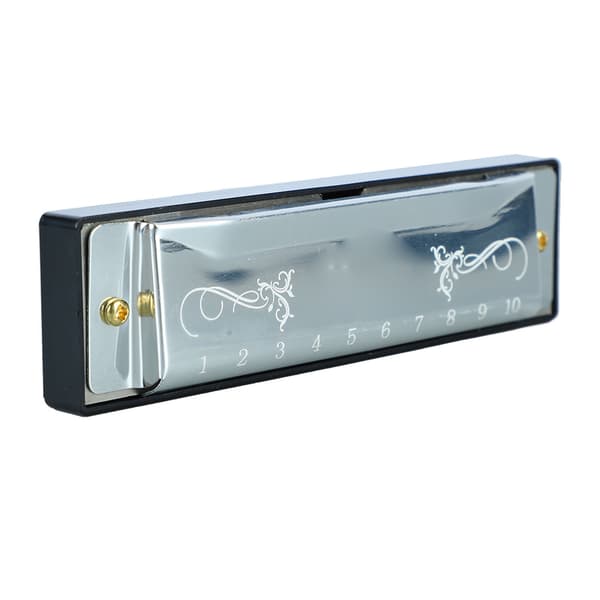 Harmonica 10 Holes 20 Tune C Major Professional Standard Harmonica with Case for Kids, Beginners, Silver