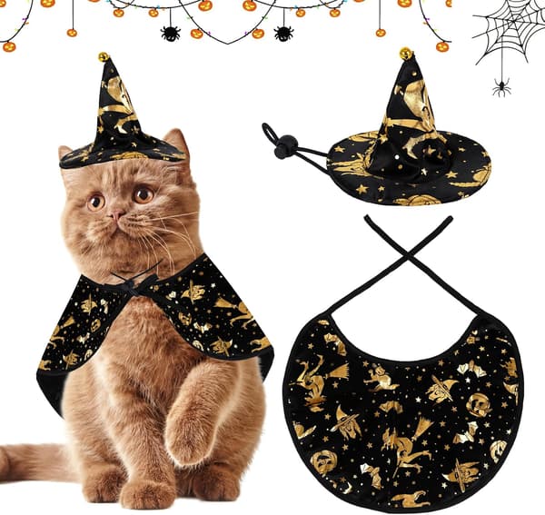(Troldmand) Kæledyr Halloween-kostumer, Hundekostume Kappe Kattekappe Heks