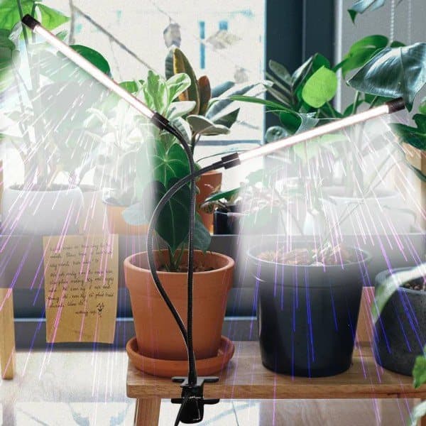 40W LED-vekstlampe med 2 hoder for innendørs planter med timer