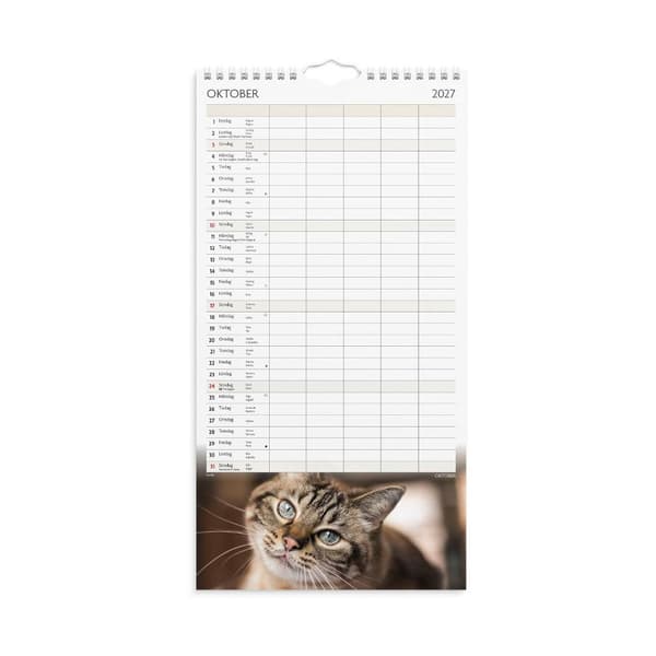 Familjekalender 2027 Katter