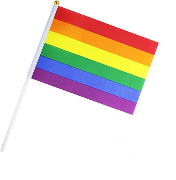 50 stk. prideflagg liten miniflagg bæreflaggstang Amerika