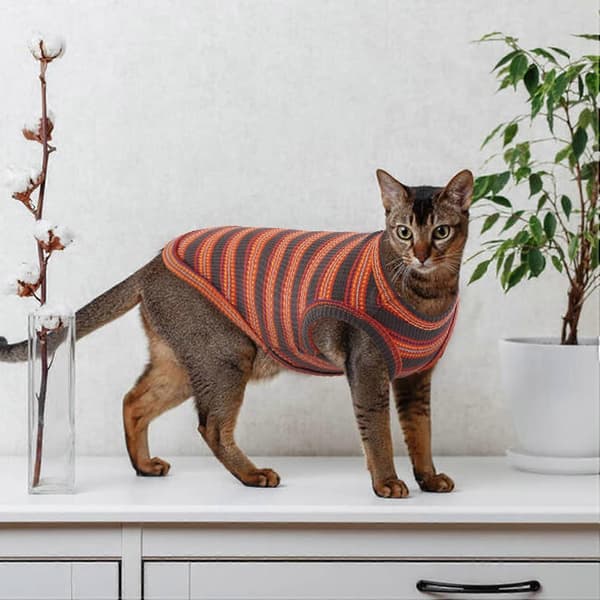 1 pc Cat Clothes, Striped Kitten T-shirts Sleeveless, Pullover Cat Sweaters, Summer Clothes for Small Dogs