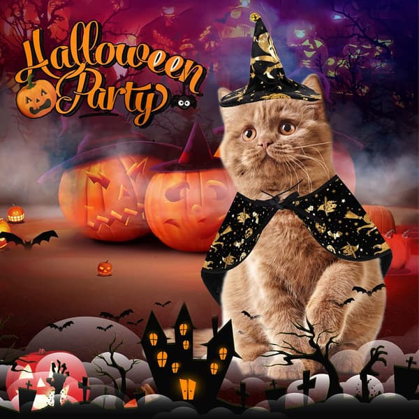 (Troldmand) Kæledyr Halloween-kostumer, Hundekostume Kappe Kattekappe Heks