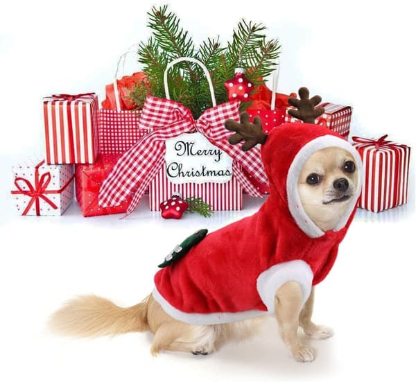 Julekostume til hund, sød rensdyrdragt