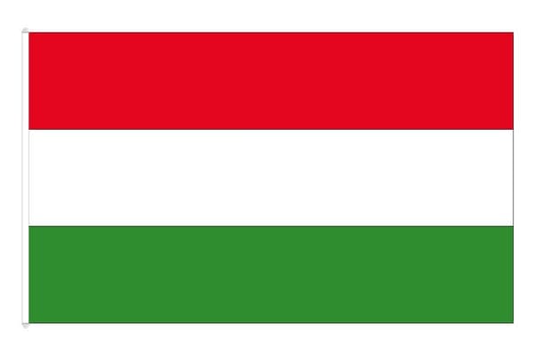 【YD】Ungersk flagga 100 100 100 Hungary 100 Hungary