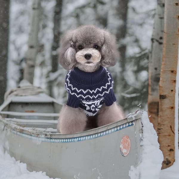 Hundetrøje, hundejuledragt, hundevinterdragt, hund Chri