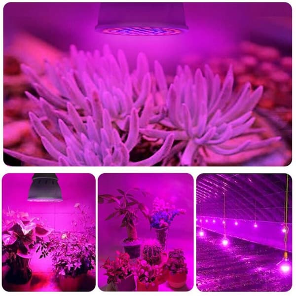 E14 Fullspektrum LED-vekstlys - 8-pakning for innendørs planter og hydroponikk-FA-