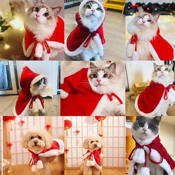 Julekæledyrstøj (S) til hund kat juleferiekostume C