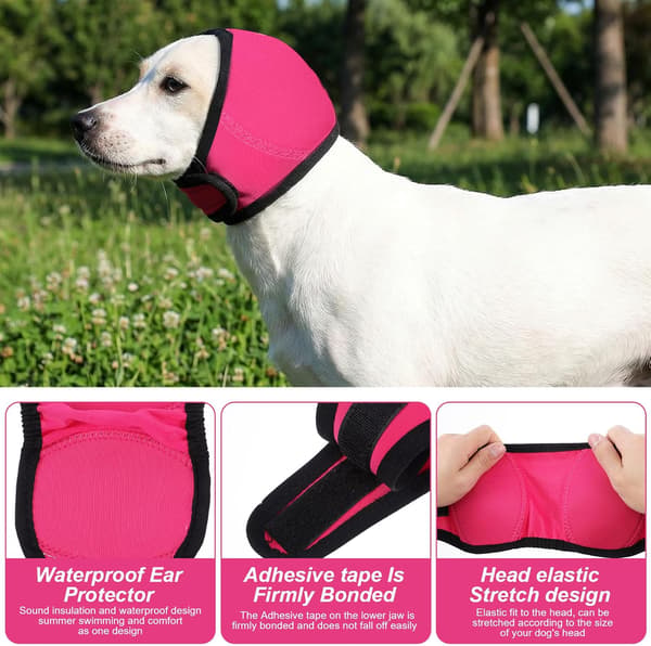Hundeøreklokker for bading og svømming, vanntett design