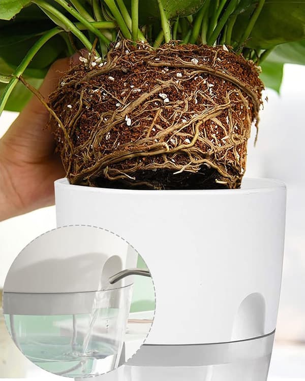 White 3-piece self-watering kitchen herb pot set 18.3x11x15.2cm - for windowsill