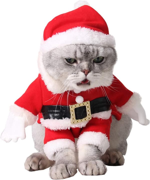(S) Kat Juleoutfit, Legendog Julekæledyrstøj Søde Julemanden