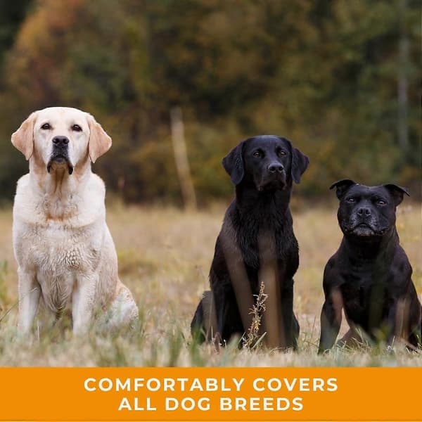Dog & Field Eight Anti-Pull Lead/Halter/Head Collar/Harness (Olive Green)