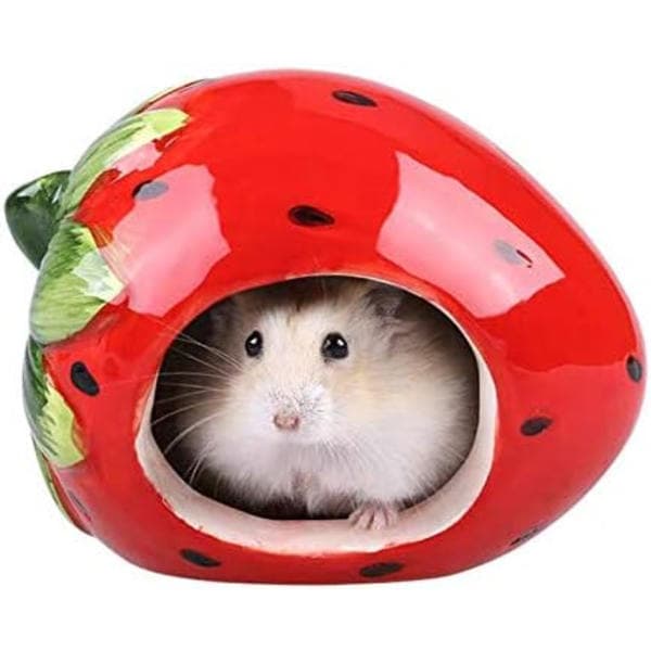 Hamstergjemmested Keramisk Søt Jordbærformet Hamsterhus Chinchilla Minihytte Liten Dyregjemmested Grottebur