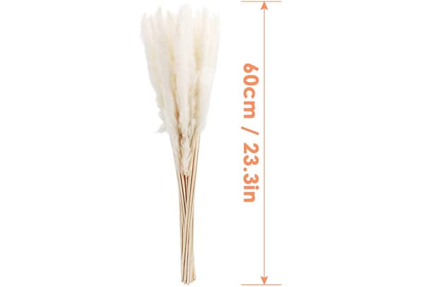 Dried Pampas Grass, Natural Pampas Grass Dried, Pampas-XF28-