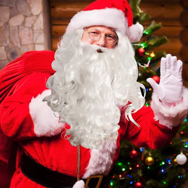 Santa Beard and Wig Set, White Santa Elf Wig and Beard, One Size