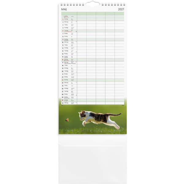 Familjekalender 2027 Katter