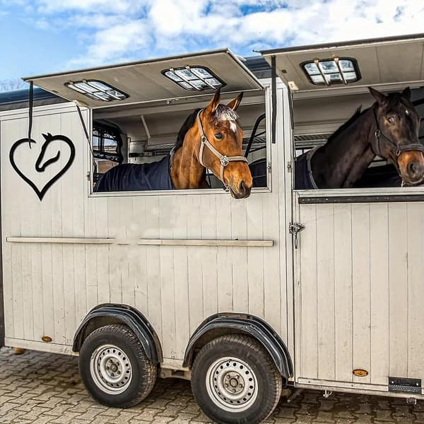Metall Hest Hjerte Skilt Hestehode Romdekorasjon For Kontor Inngang Stue