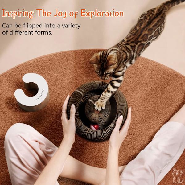 Magic Organ Interactive Scratch Toy - The Ultimate Interactive Mental and Physical Training for Indoor Cats