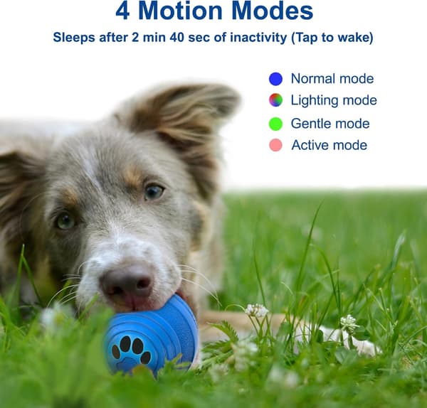 Smart Interactive Dog Ball - Automatically Rolling & Bouncing Toy, Durable for Small and Medium Dogs (Blue) blue