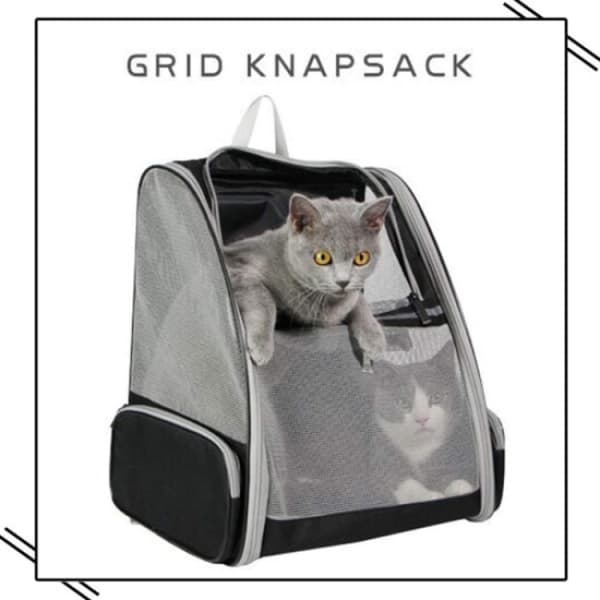1st Dog Carrier Backpack, Cat Backpack, Comfortable and
