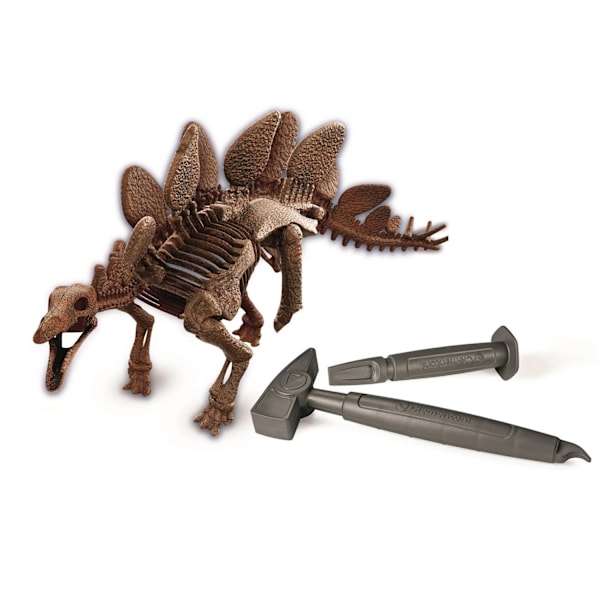Gravsæt Stegosaurus