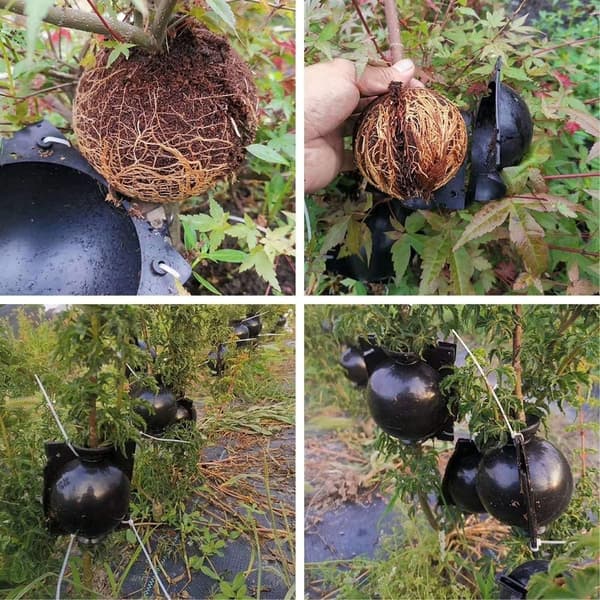 Aeration Bags, Reusable Plant Rooting Devices, Plant Root and Seedling Boxes, Plant Root Controllers (Small Size (2 inches × 10 pieces))