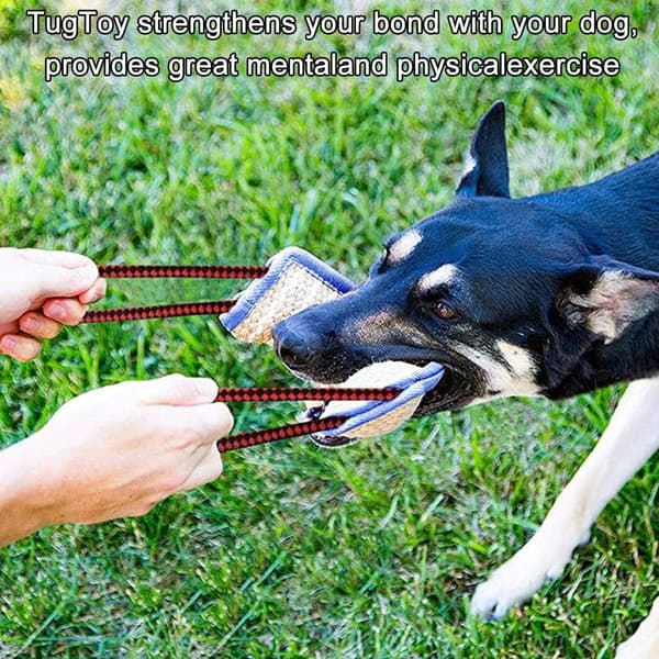 Dog Toy Bite Dummy with 2 Handles 30cm - Floating Learning Roller Good for Dog's Dental Health, Interactive St