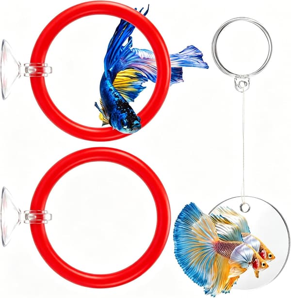 Berikelsesleker for kampfisk, akvarietilbehør for fisk