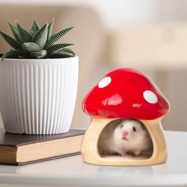 Keramisk Hamster Gemmested | Kæledyrsbur til Hamster | Kæledyrsbolig til Hamster, Køligt Hus, Kæledyrs Hamster Gemmested Bur, Svampeformet Komfort
