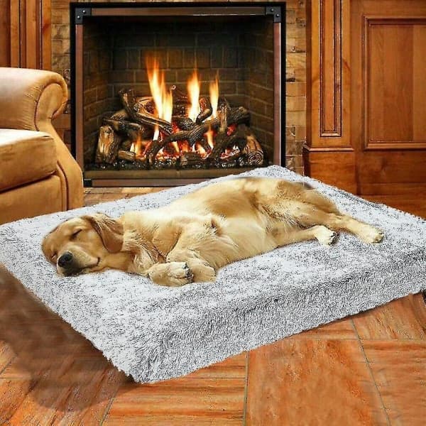 L - Machine Washable Memory Foam Pet Bed with Removable Cover, Waterproof Mattress, Dog Bed L