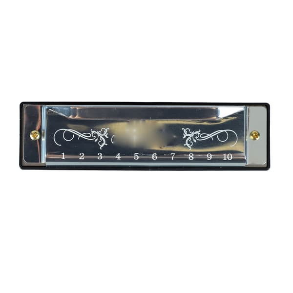 Harmonica 10 Holes 20 Tune C Major Professional Standard Harmonica with Case for Kids, Beginners, Silver