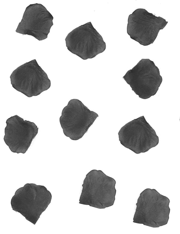 100 svarte tøyroseblader 5 cm