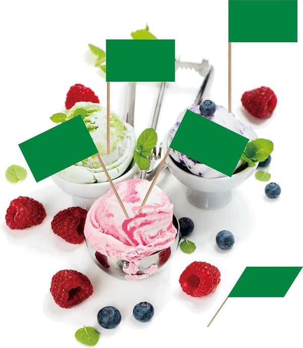 Empty Toothpick Flag Small Mini Labels Marking DIY Stick Flags for Cocktail Fruit Cupcake Toppers Food Decorations, 100-Pack