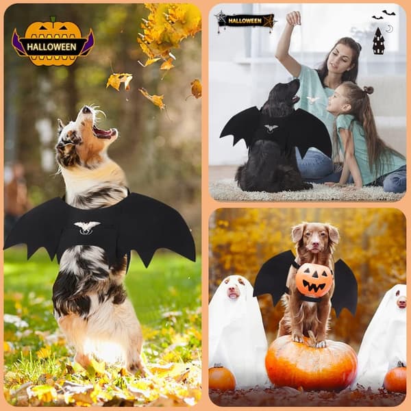 Flagermusvinger til hunde, Halloween-kostumer til mellemstore hunde med græskar