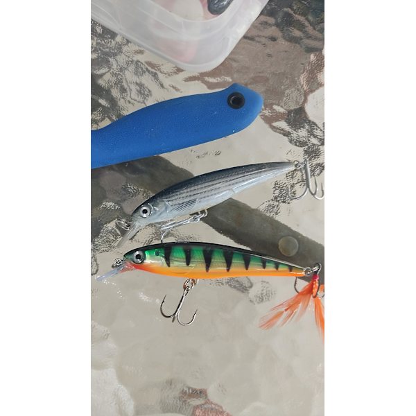 Fiskesluk