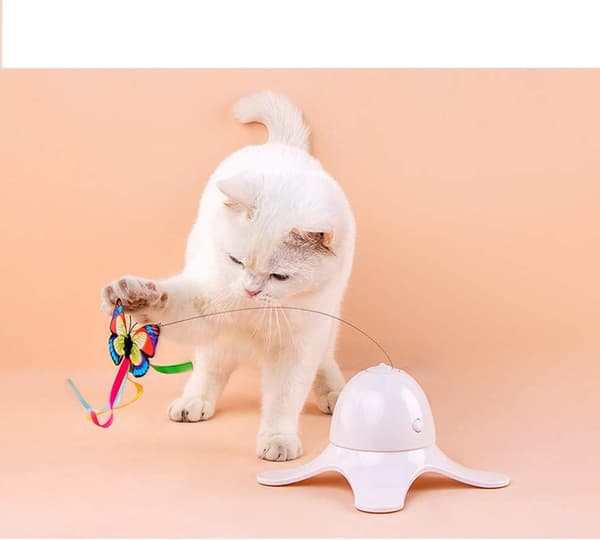 Shuangjun kattleksak, rolig elektrisk kattvippa, kan p