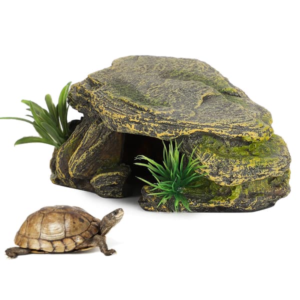 Levende Skilpadde Reptil Habitat Beskyttelse